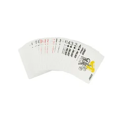PALACE BICYCLE PLAYING CARDS MULTI